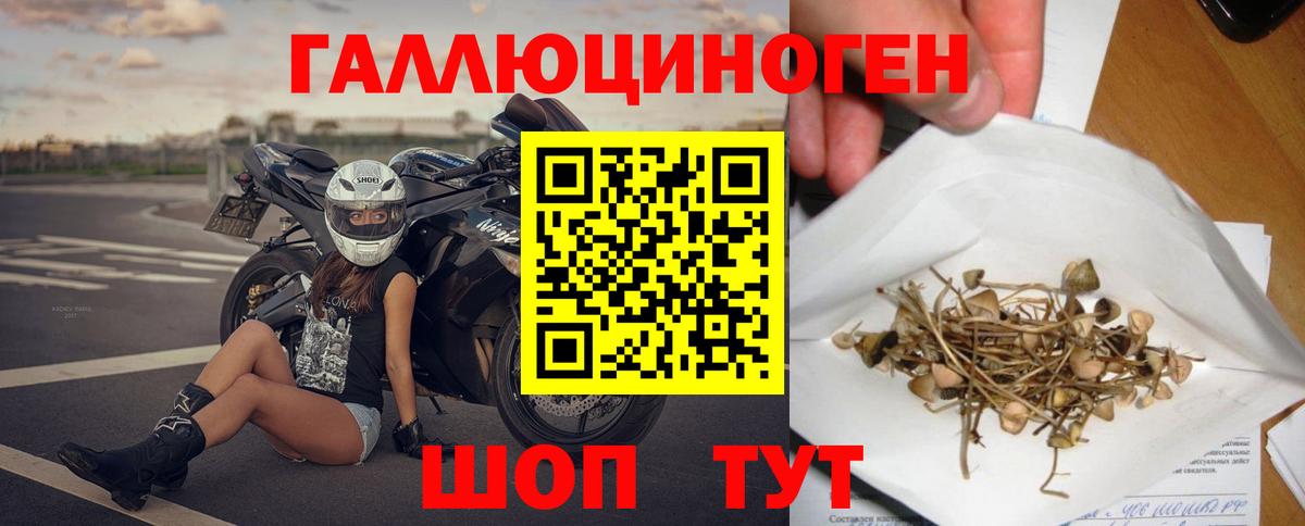 Борисоглебск  Псилоцибиновые грибы Magic Shrooms  Вход с VPN 