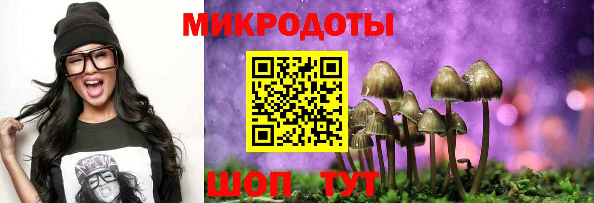 Галлюциногенные грибы Cubensis Борисоглебск